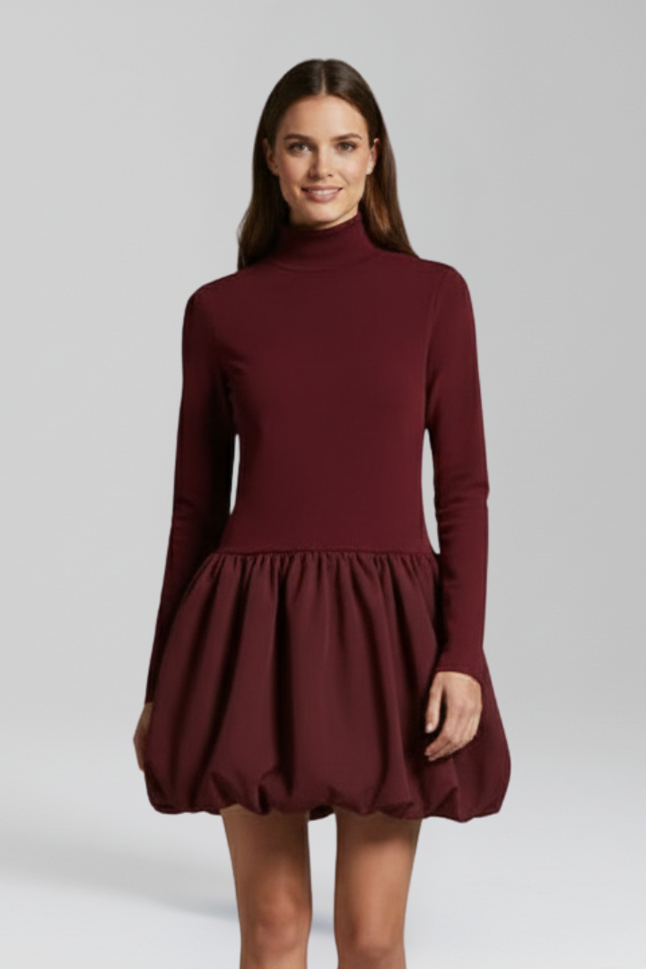 Women’s Dress with High Neckline and Long Sleeves