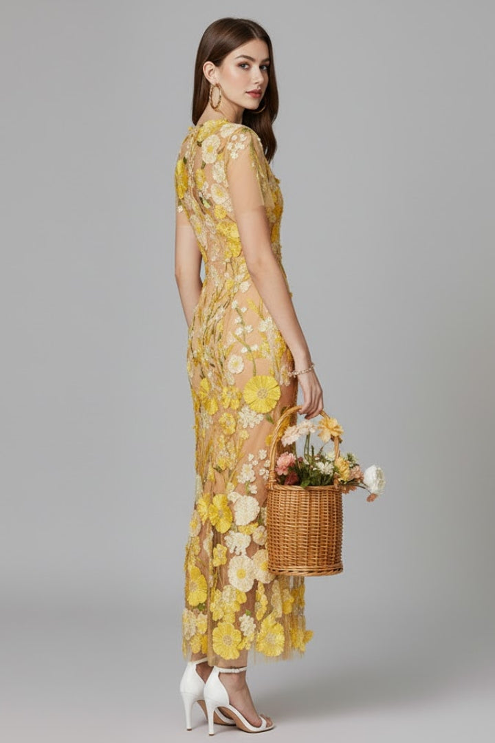 Women’s Embroidered Maxi Dress with Sheer Sleeves