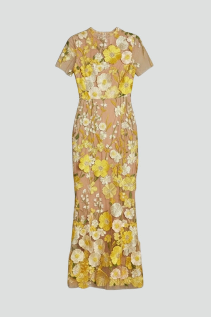 Women’s Embroidered Maxi Dress with Sheer Sleeves